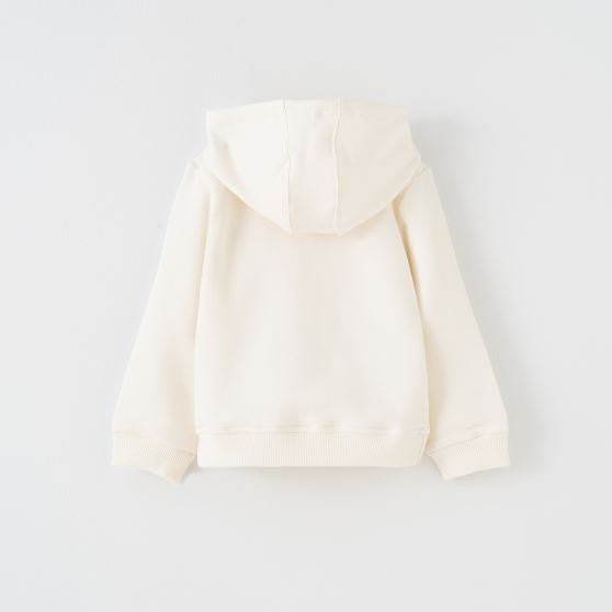 هودی کلاه دار BMS دورس